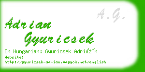 adrian gyuricsek business card